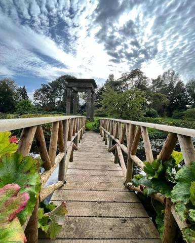 394417441_18395877874058469_297752136796778656_n (1).jpg