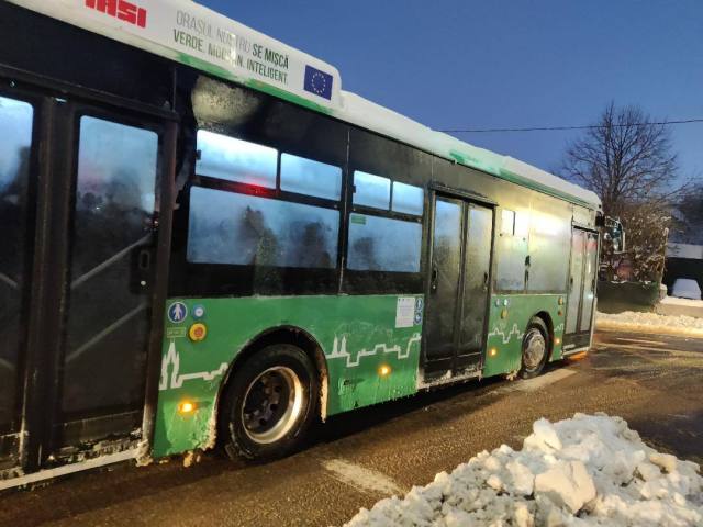 autobuz electric 2.jpeg