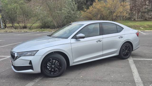 20241117_155304 RN.jpg