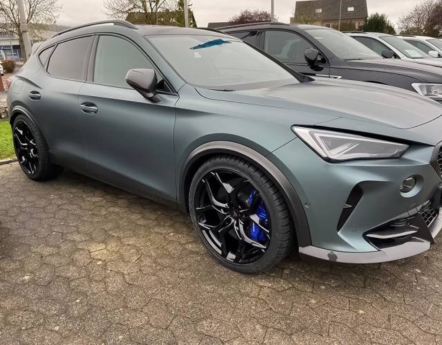 WhatsApp Image 2024-11-14 at 16.09.14.jpeg