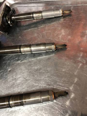 Photo 20.11.2024, 11 53 39.jpg