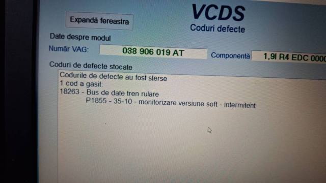 WhatsApp Image 2024-12-09 at 09.24.41.jpeg