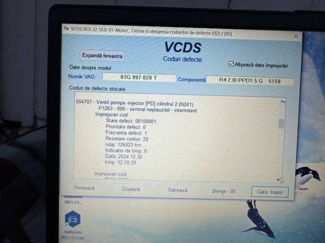 WhatsApp Image 2025-01-31 at 17.26.19 (1).jpeg