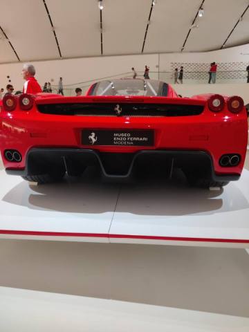 Enzo 2.jpg