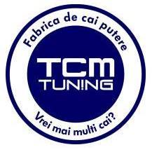mugur@tcmtuning