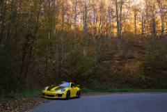 Autumn scene